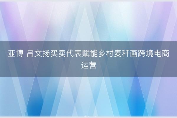 亚博 吕文扬买卖代表赋能乡村麦秆画跨境电商运营