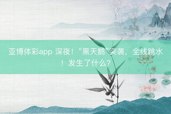 亚博体彩app 深夜!“黑天鹅”突袭,全线跳水!发生了什么?