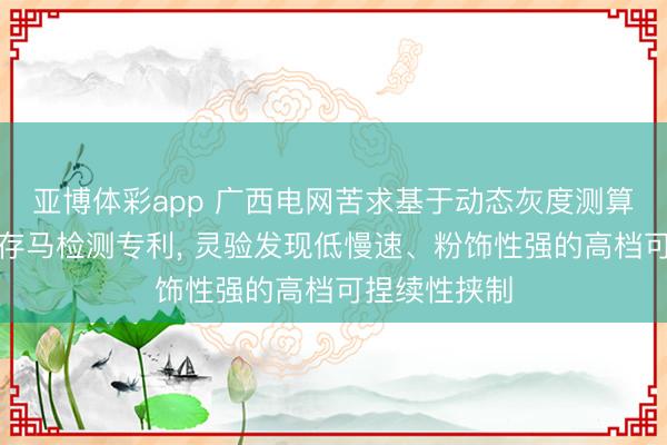 亚博体彩app 广西电网苦求基于动态灰度测算的容器化内存马检测专利， 灵验发现低慢速、粉饰性强的高档可捏续性挟制