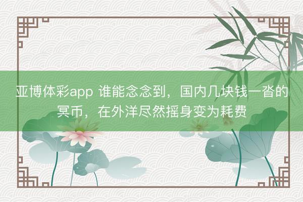 亚博体彩app 谁能念念到，国内几块钱一沓的冥币，在外洋尽然摇身变为耗费