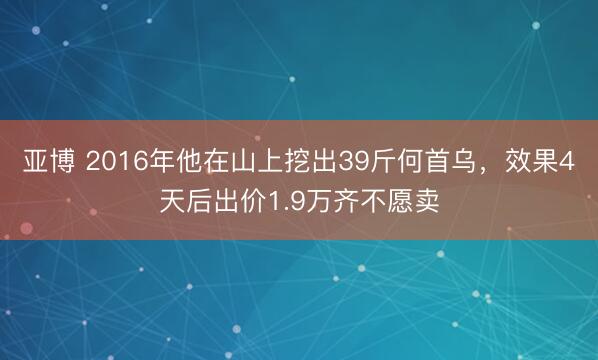 亚博 2016年他在山上挖出39斤何首乌，效果4天后出价1.9万齐不愿卖
