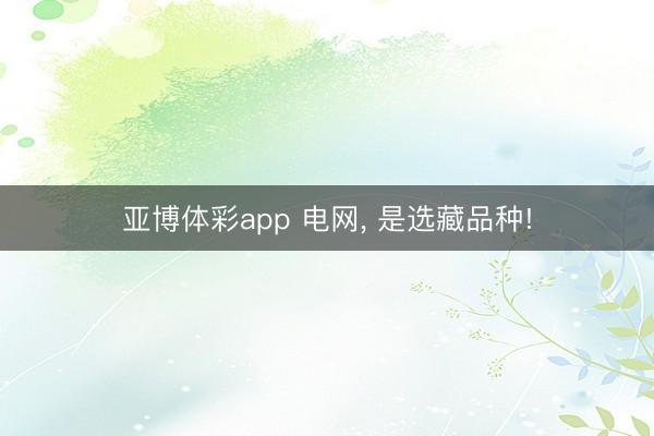 亚博体彩app 电网， 是选藏品种!