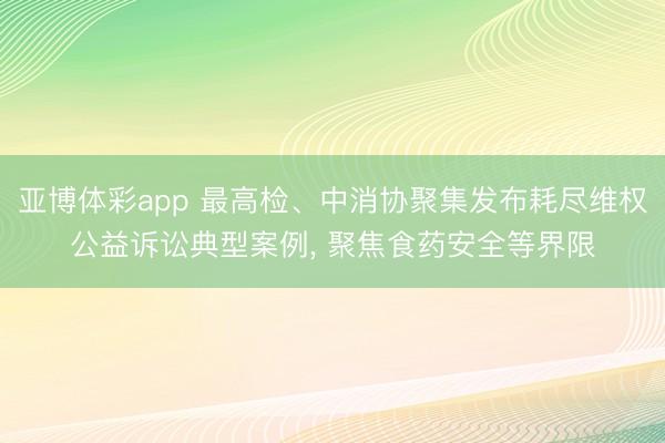 亚博体彩app 最高检、中消协聚集发布耗尽维权公益诉讼典型案例， 聚焦食药安全等界限
