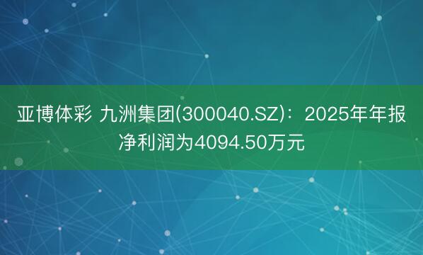 亚博体彩 九洲集团(300040.SZ)：2025年年报净利润为4094.50万元