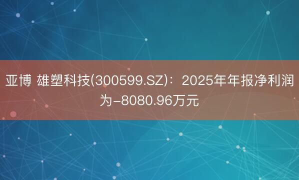 亚博 雄塑科技(300599.SZ)：2025年年报净利润为-8080.96万元