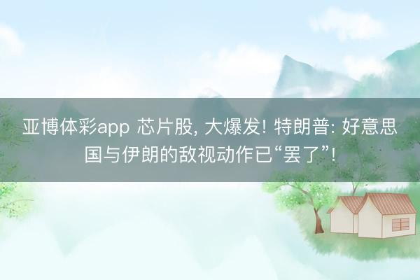亚博体彩app 芯片股， 大爆发! 特朗普: 好意思国与伊朗的敌视动作已“罢了”!