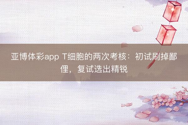 亚博体彩app T细胞的两次考核：初试刷掉鄙俚，复试选出精锐